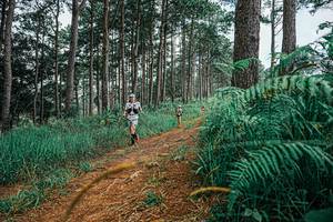 BIB: 
                            <button type="button" onclick="openModal(25689597)" class="btn btn-primary btn-sm float-right btn-popup" data-toggle="modal" data-target=".modal-high-quality">
                        <i class="fas fa-shopping-cart"></i> Add to Cart
                    </button>
                                            <button type="button" onclick="isThisMe(25689597, true)" class="btn btn-success btn-sm float-right btn-popup btn-isme hidden" data-toggle="tooltip" data-placement="bottom" title="นี่คือรูปของคุณใช่ไหม คลิกที่นี่เพื่อเอาเข้าอัลบั้ม">
                        <i class="fas fa-plus"></i> Add to album
                    </button>
                    <button type="button" onclick="isThisMe(25689597, false)" class="btn btn-warning btn-sm float-right btn-popup btn-isnotme hidden">
                        <i class="fas fa-ban"></i> Remove from album
                    </button>